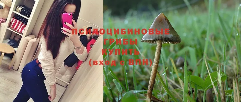 МЕГА как войти  где можно купить   Белоярский  Псилоцибиновые грибы MAGIC MUSHROOMS 